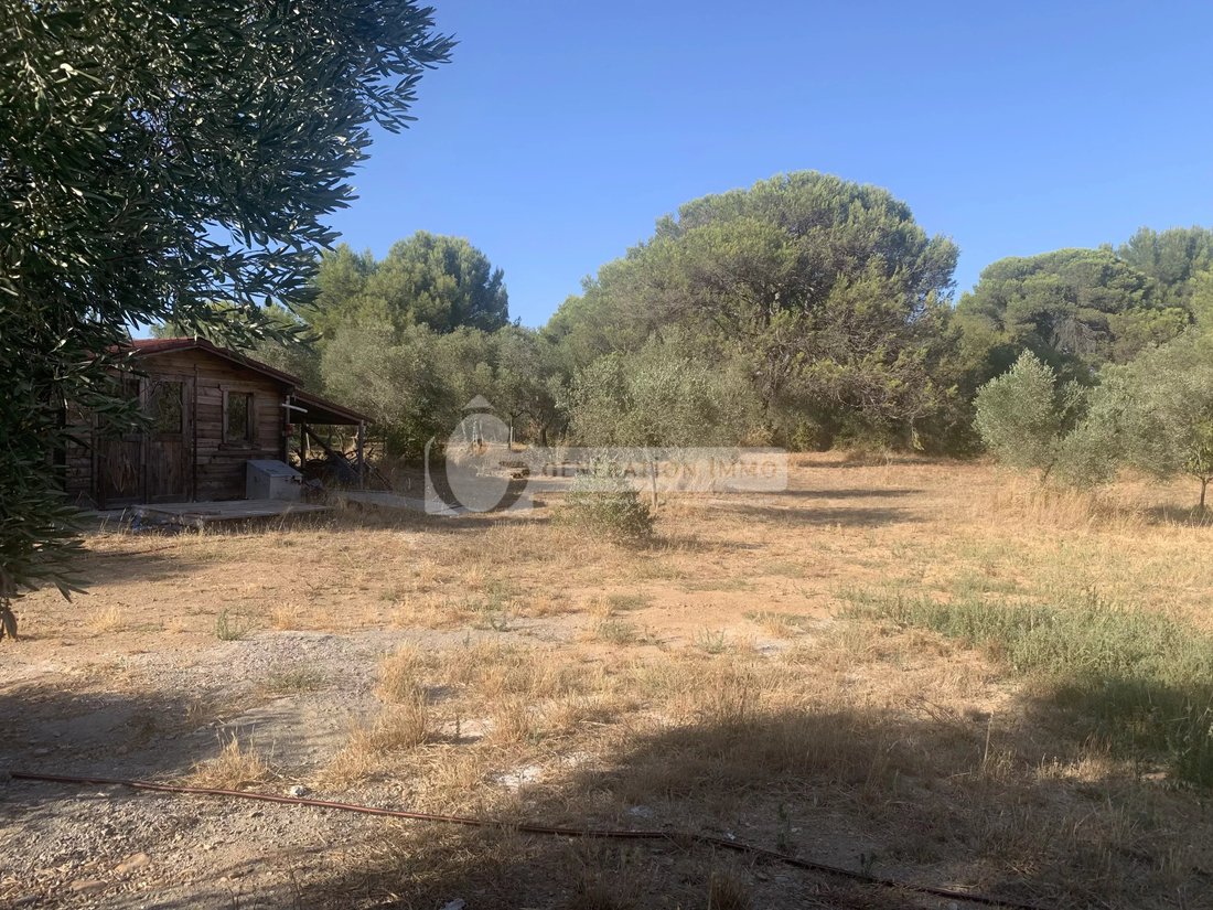 Villa in Arles, Provence-Alpes-Côte d'Azur, France 3 - 18509790