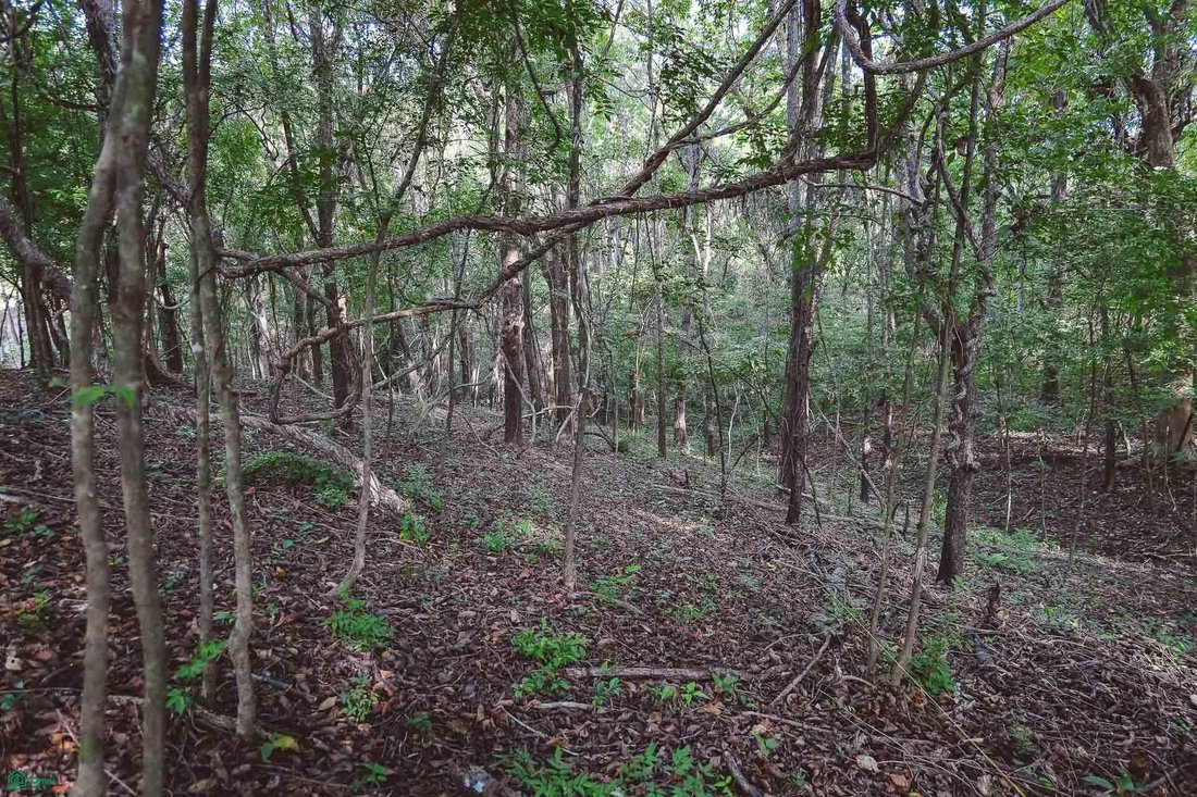 Land in Cuajiniquil, Santa Cruz, Costa Rica 5 - 18459481