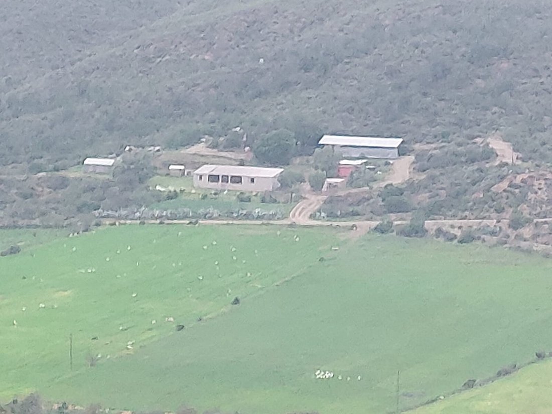 Farm Ranch in George, Western Cape, South Africa 1 - 18519203