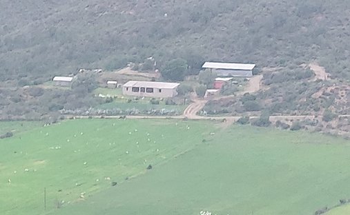 Farm Ranch in George, Western Cape, South Africa 1