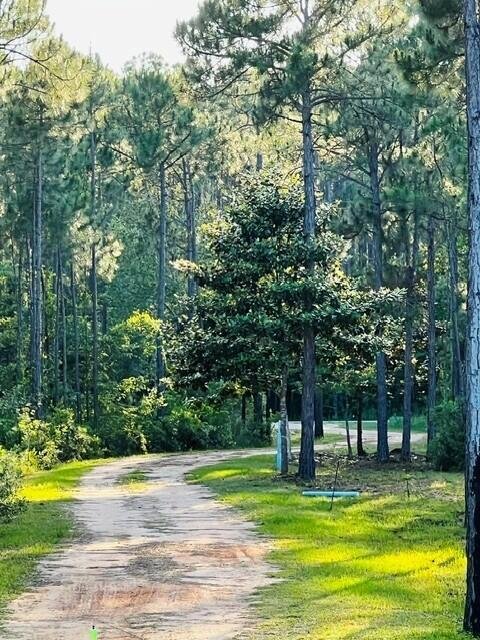 House in Santa Rosa Beach, Florida, United States 2 - 18511376