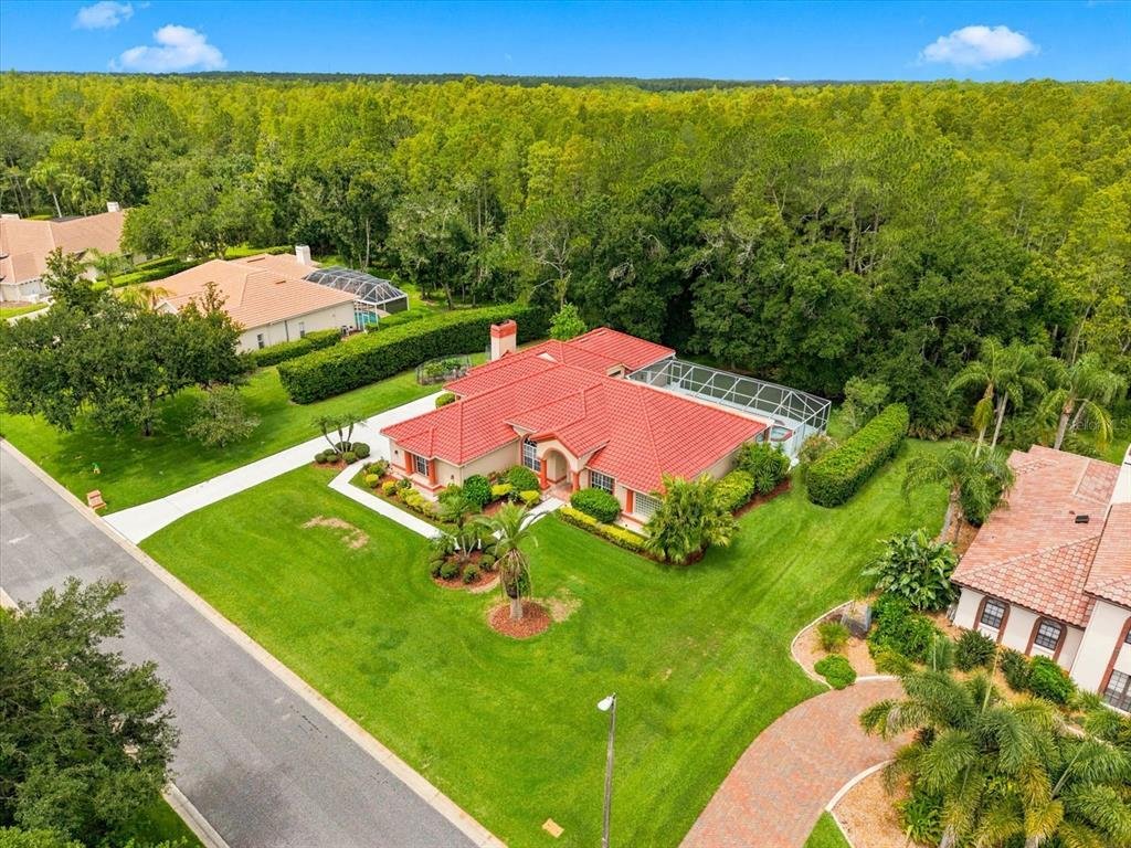 House in Land O' Lakes, Florida, United States 5 - 18516709
