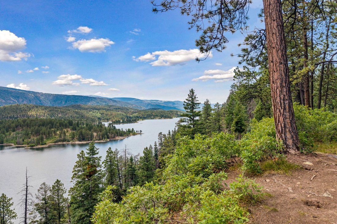 Land in Durango, Colorado, United States 5 - 18516647