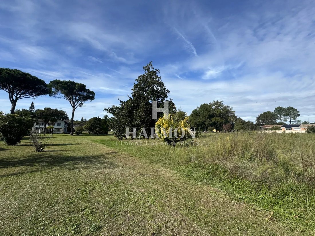 Estate in Magescq, Nouvelle-Aquitaine, France 4 - 18509706