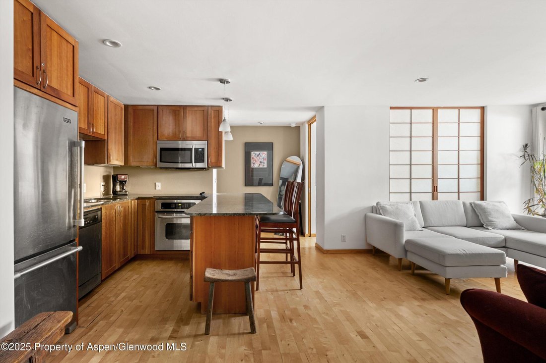 House in Aspen, Colorado, United States 1 - 18519215