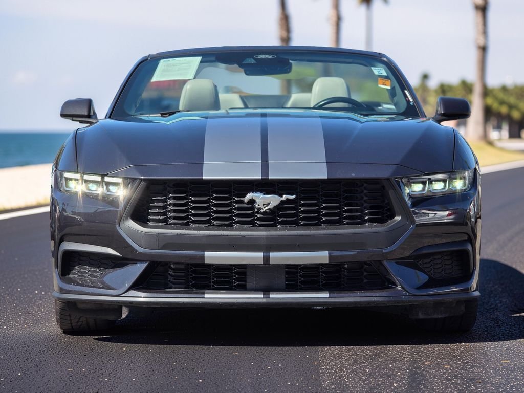 Cabriolet in El Cajon, CA, United States 3 - 18333567