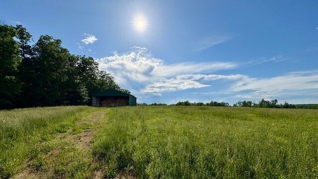Waynesboro, Tennessee, United States 5 - 18512413