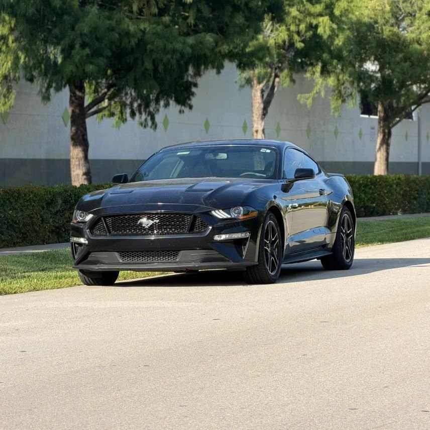 Coupe in Wilton Manors, FL, United States 1 - 18520643