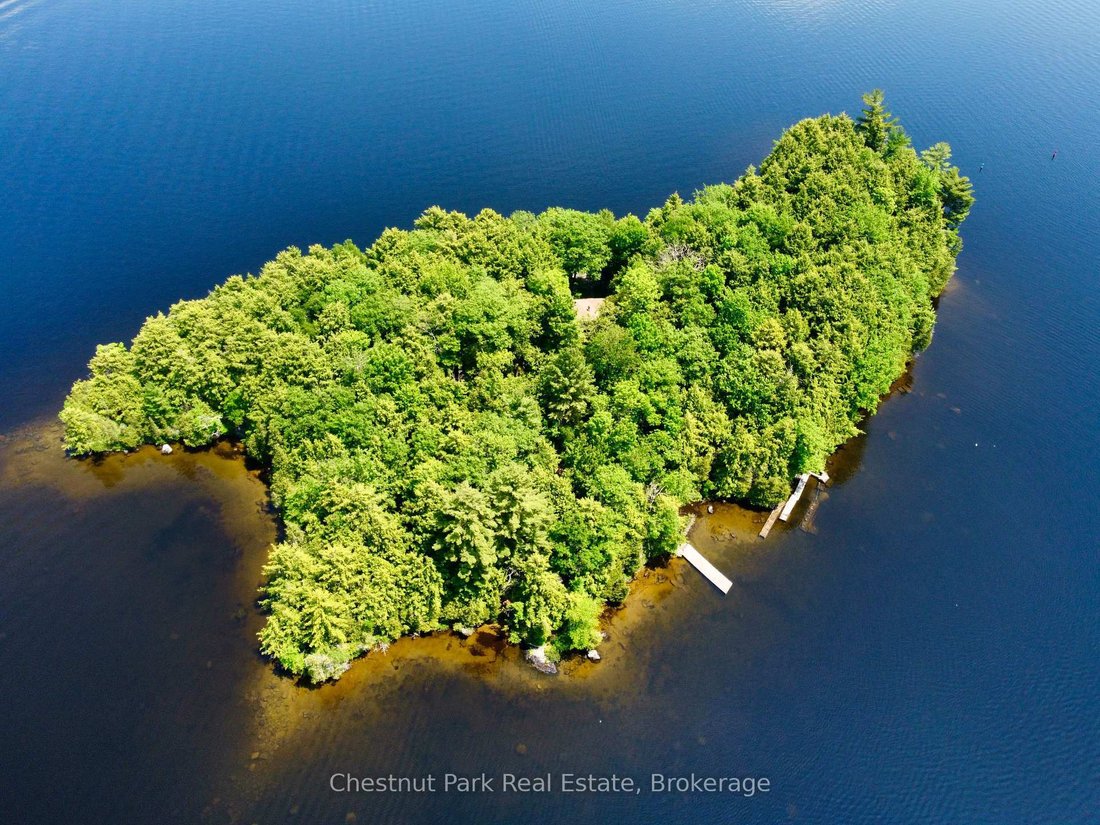 House in Muskoka Lakes, Ontario, Canada 1 - 18520574
