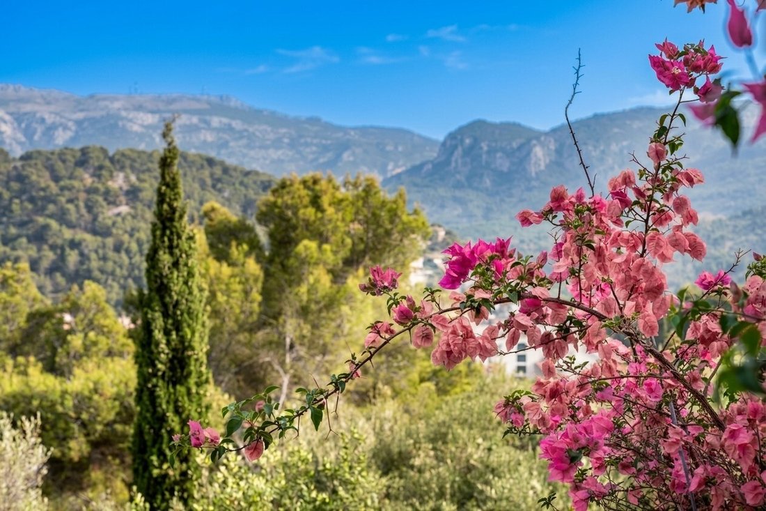 Appartamento a Sóller, Isole Baleari, Spagna 2 - 18510141