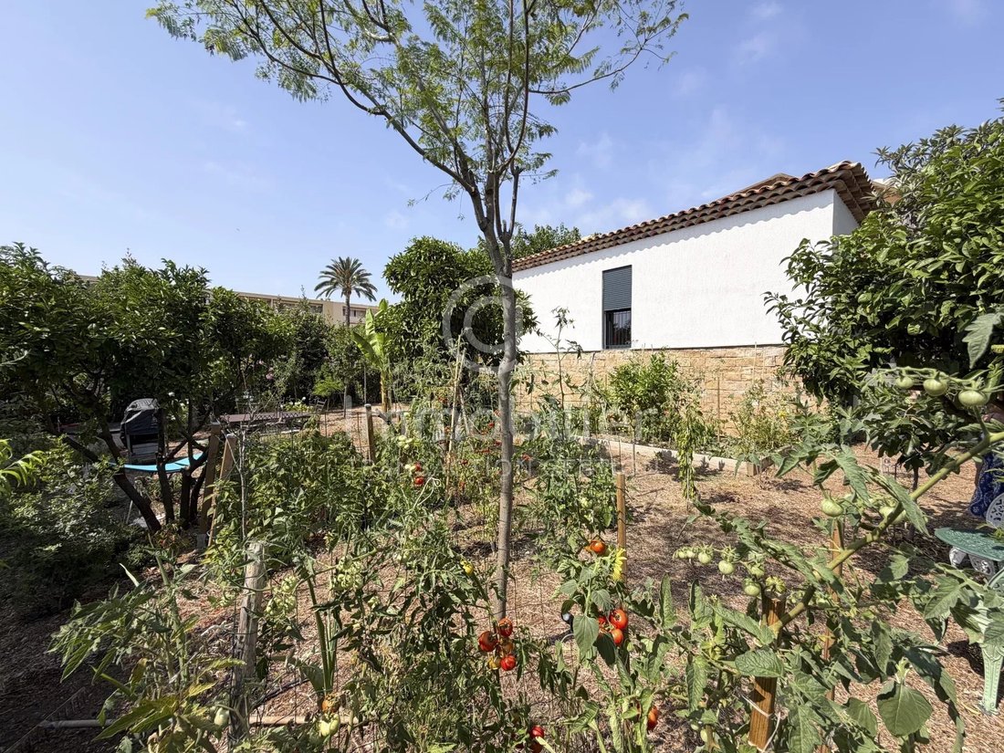 House in Font de Veyre, Cannes, France 3 - 18509637