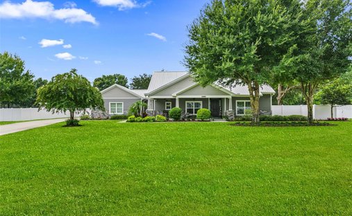 House in Dover, Florida, United States 1