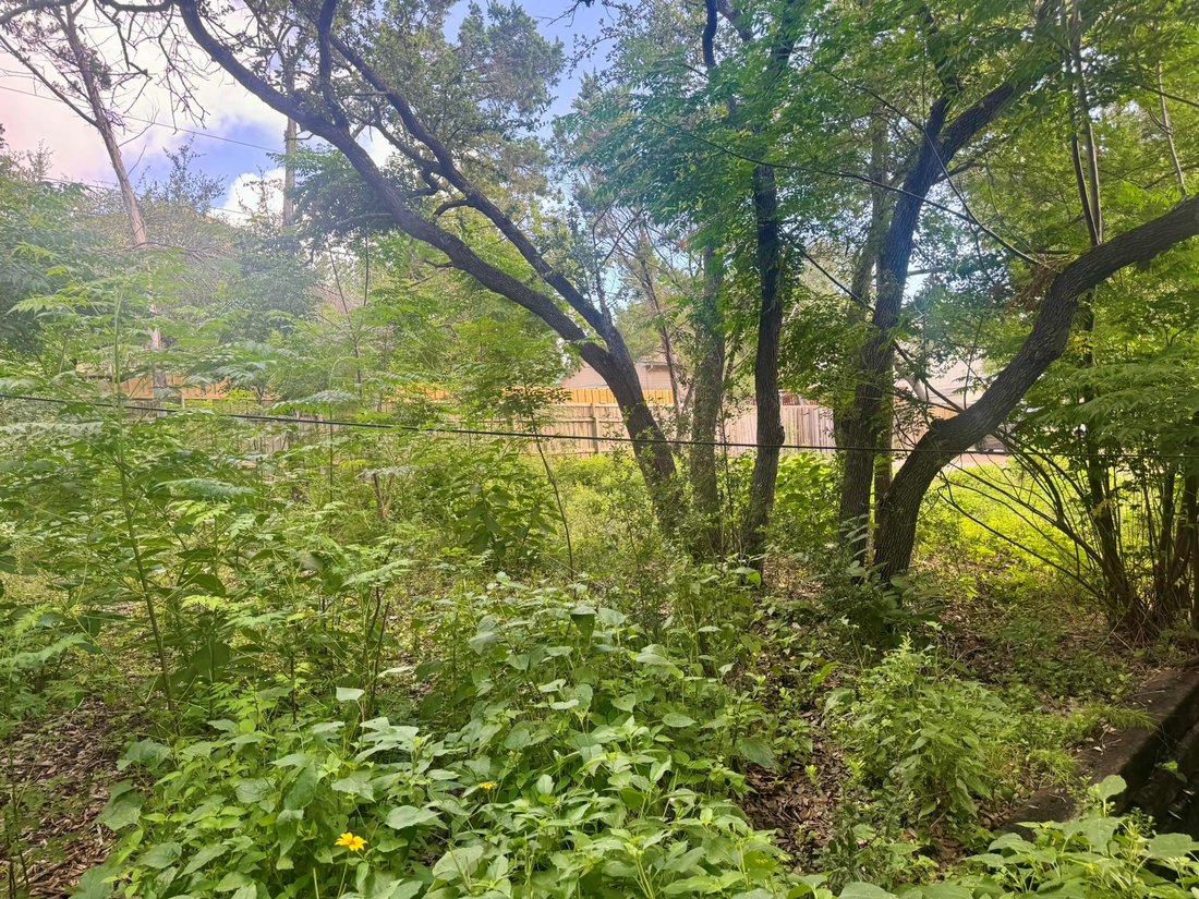 House in Austin, Texas, United States 4 - 18512167