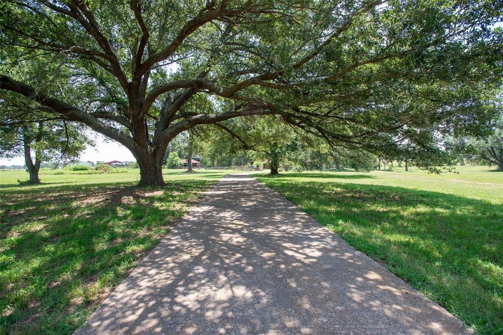 House in Athens, Texas, United States 1 - 18513225