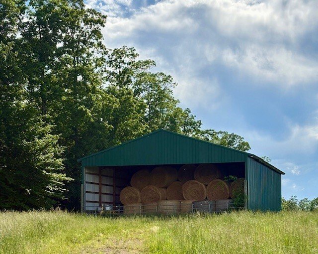 Waynesboro, Tennessee, United States 4 - 18512413