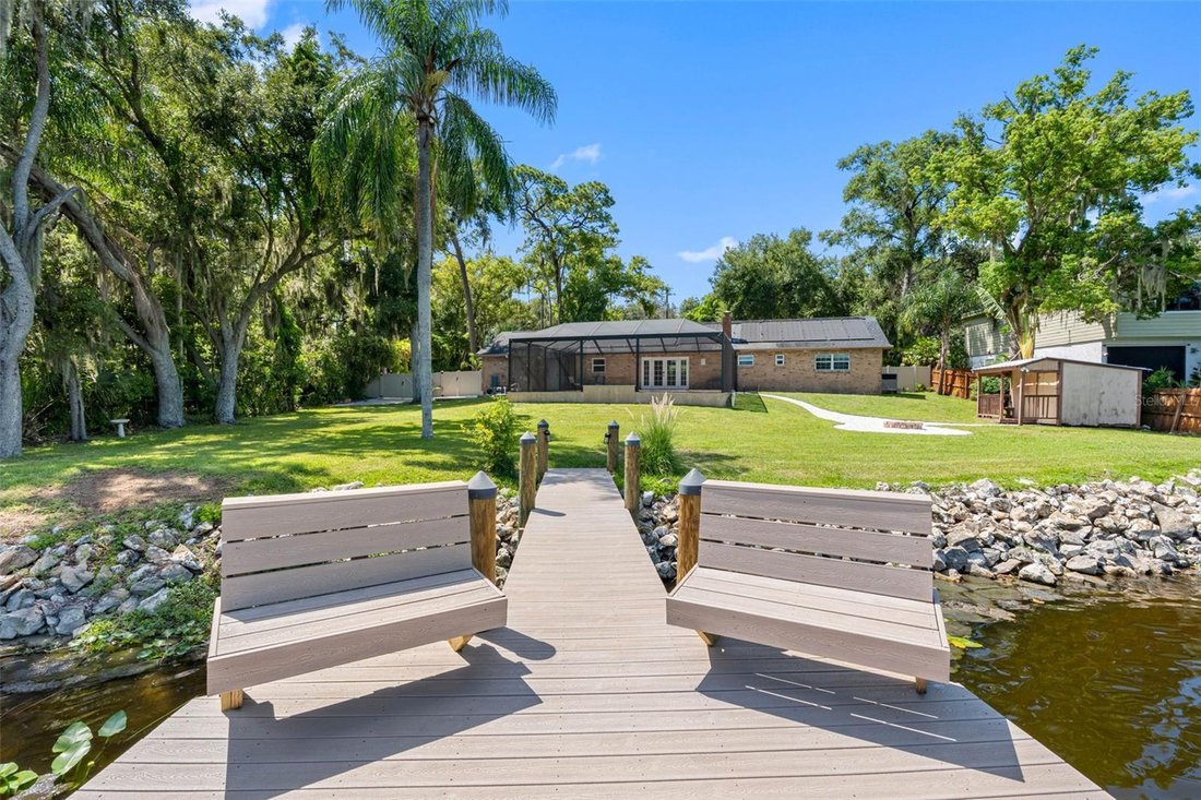House in Tampa, Florida, United States 4 - 18514917