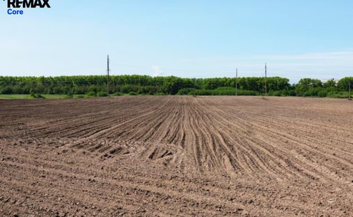 Terrain à Mérida, Estrémadure, Espagne 1