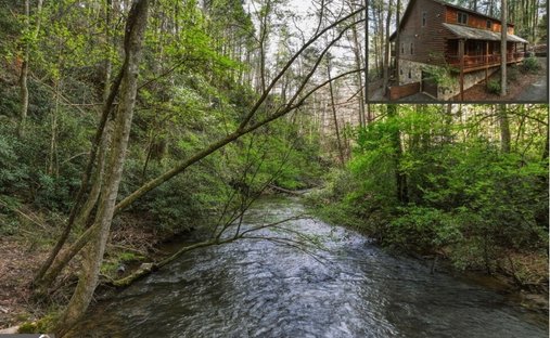 Casa a Cherry Log, Georgia, Stati Uniti 1