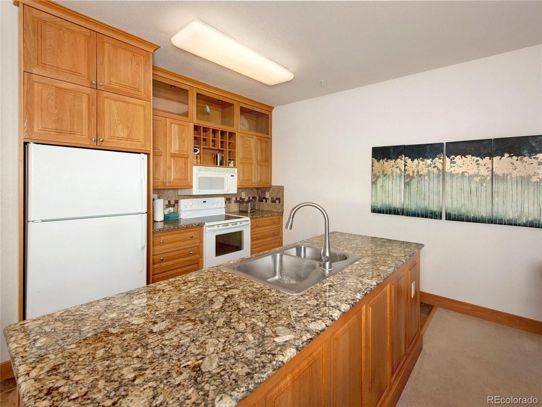Condo in Dillon, Colorado, United States 5 - 18509294
