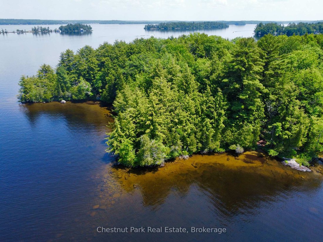 House in Muskoka Lakes, Ontario, Canada 4 - 18520574