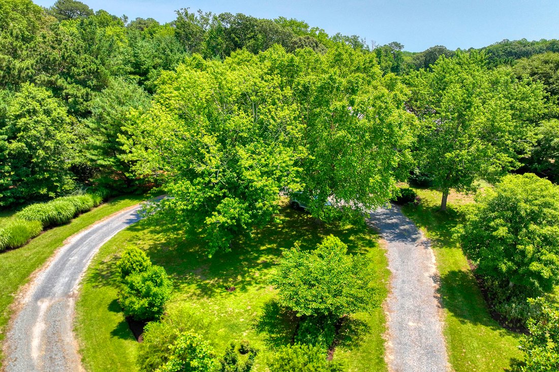 House in Lewes, Delaware, United States 1 - 18510596