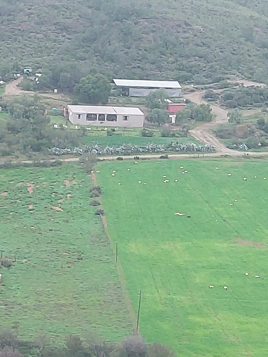 Farm Ranch in George, Western Cape, South Africa 2 - 18519203