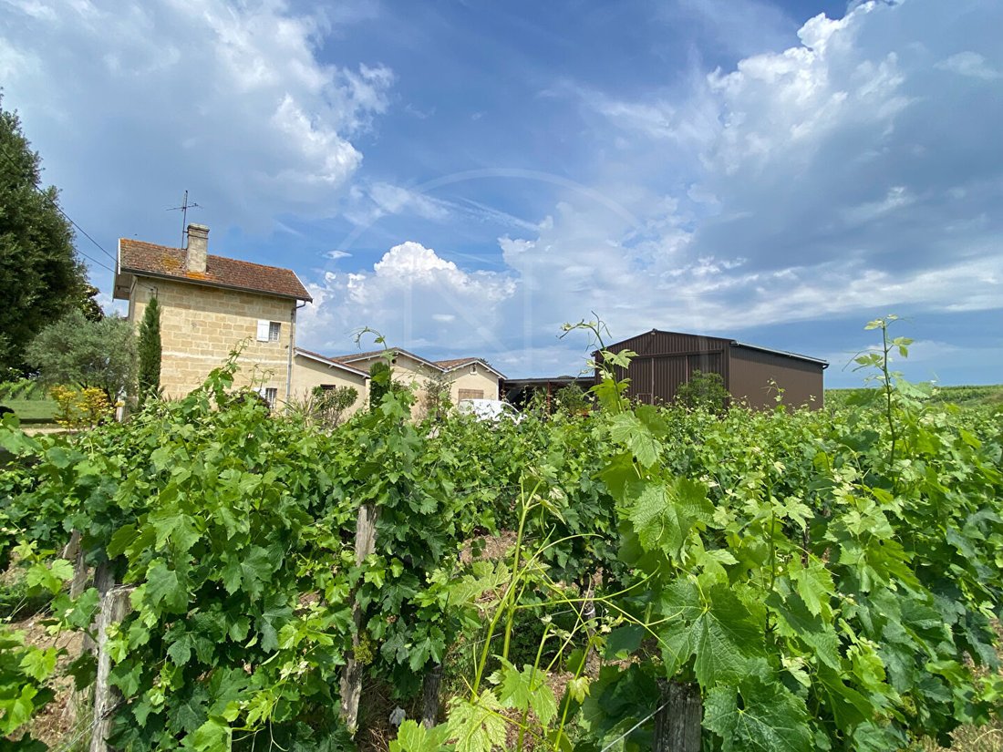 Villa in Saint-Émilion, Nouvelle-Aquitaine, France 4 - 18509055