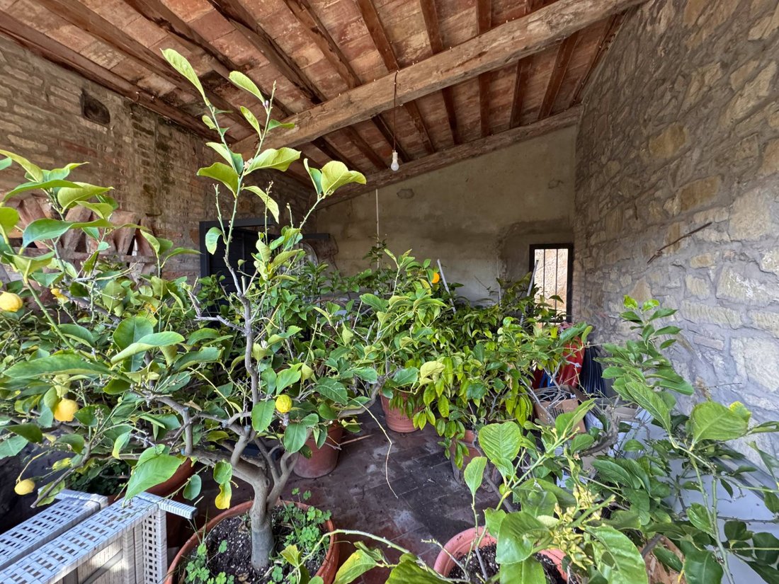 Country House in Cavriglia, Tuscany, Italy 4 - 18514345