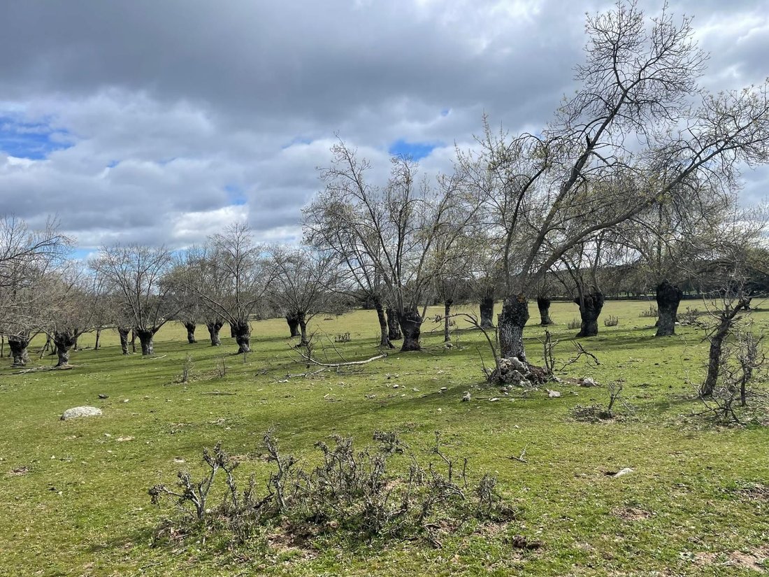 Galapagar, Comunidad de Madrid, Spain 2 - 17355845