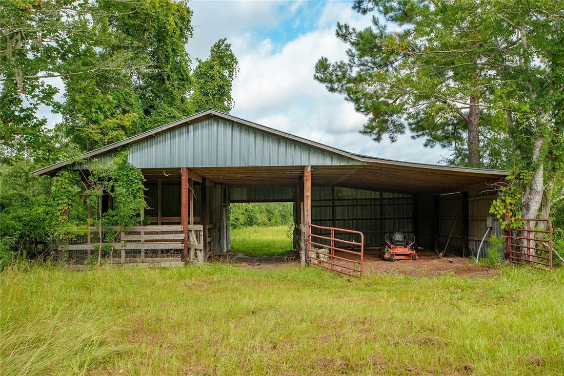 House in Alachua, Florida, United States 5 - 18518611