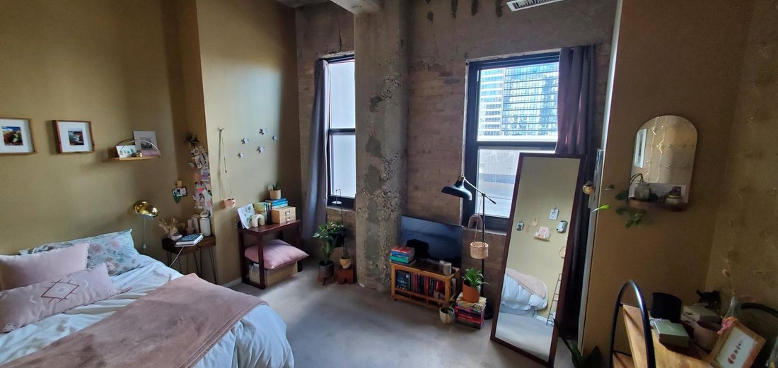 Condo in Chicago, Illinois, United States 4 - 18517287