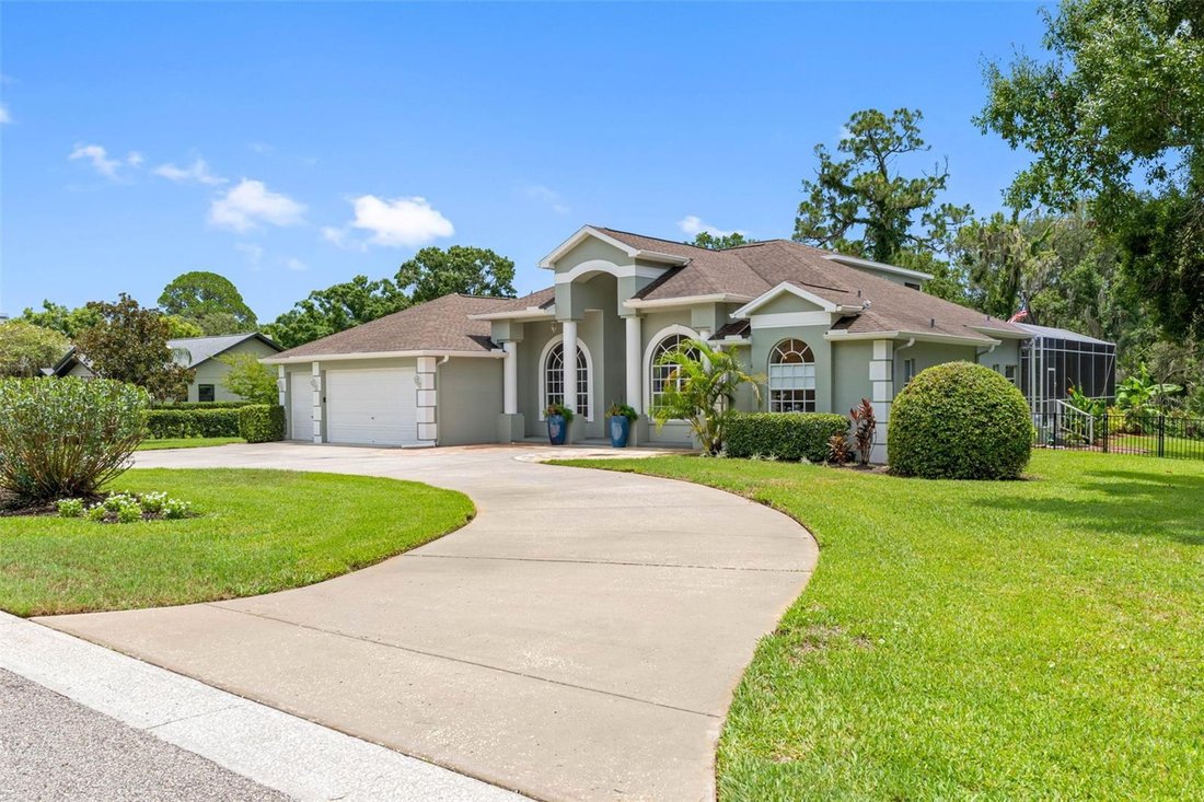 House in Tarpon Springs, Florida, United States 1 - 18514920
