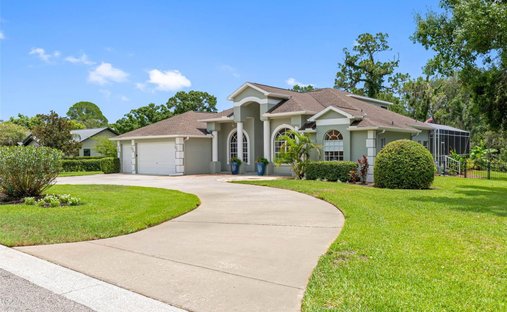House in Tarpon Springs, Florida, United States 1