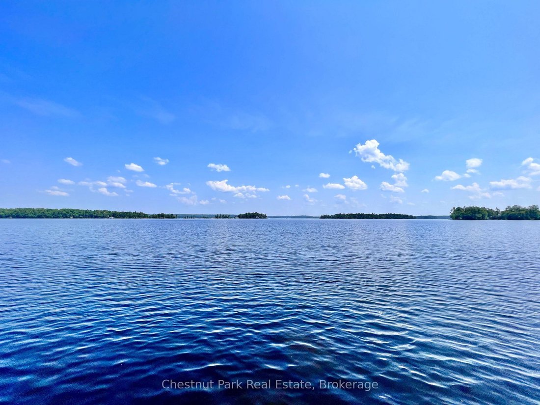 House in Muskoka Lakes, Ontario, Canada 3 - 18520574