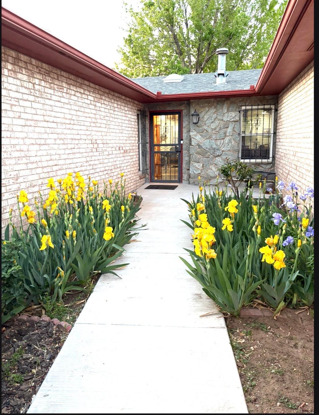 House in Albuquerque, New Mexico, United States 3 - 18069113