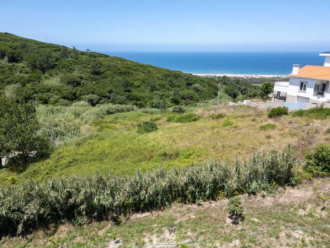 Land in Famalicao, Leiria District, Portugal 2 - 18520626