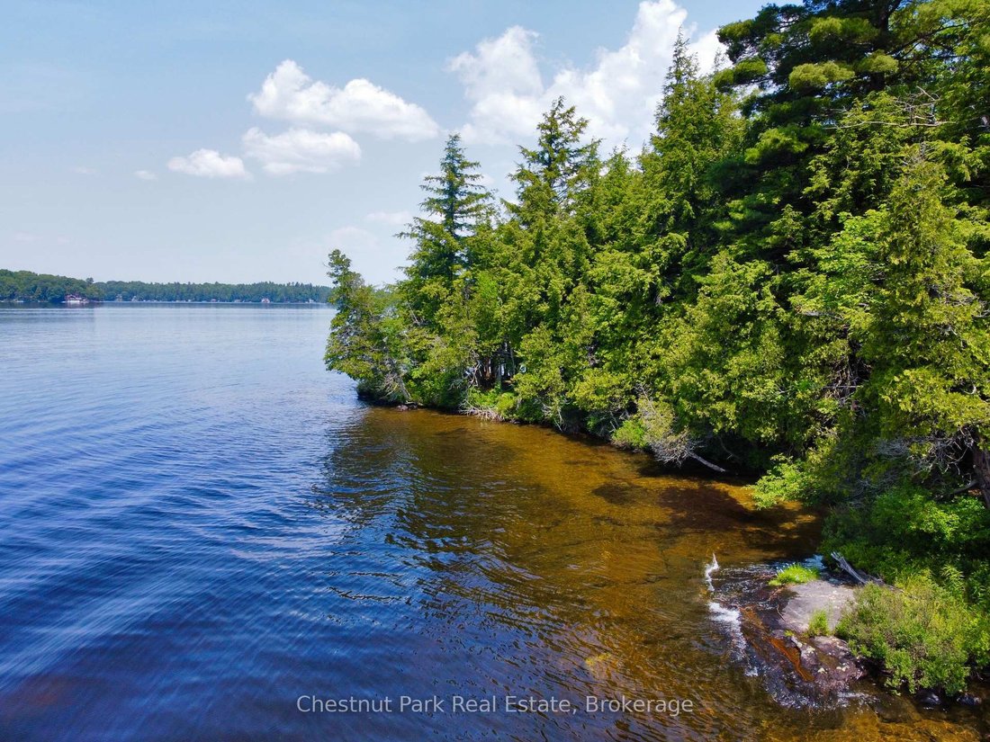 House in Muskoka Lakes, Ontario, Canada 5 - 18520574
