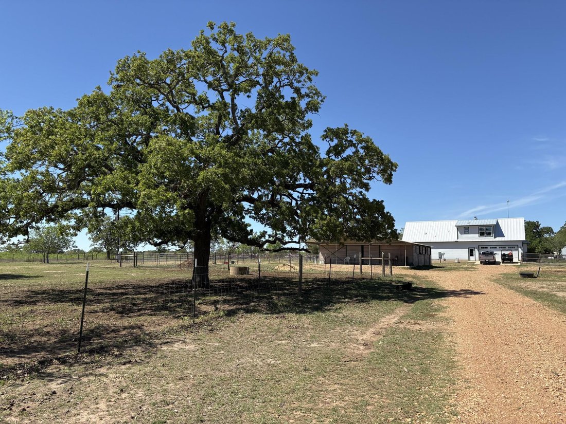 House in Paige, Texas, United States 3 - 18512166
