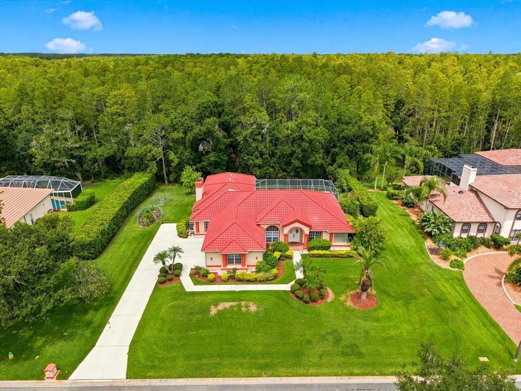 House in Land O' Lakes, Florida, United States 2 - 18516709