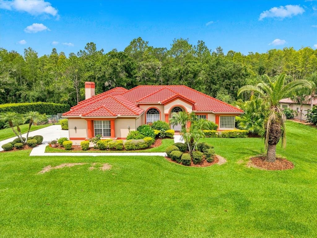 House in Land O' Lakes, Florida, United States 1 - 18516709