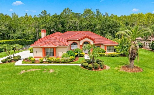 House in Land O' Lakes, Florida, United States 1