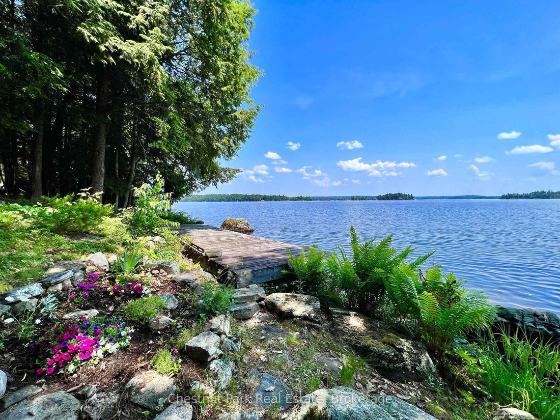 House in Muskoka Lakes, Ontario, Canada 2 - 18520574