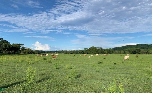 Land in La Garita Nueva, Guanacaste Province, Costa Rica 1