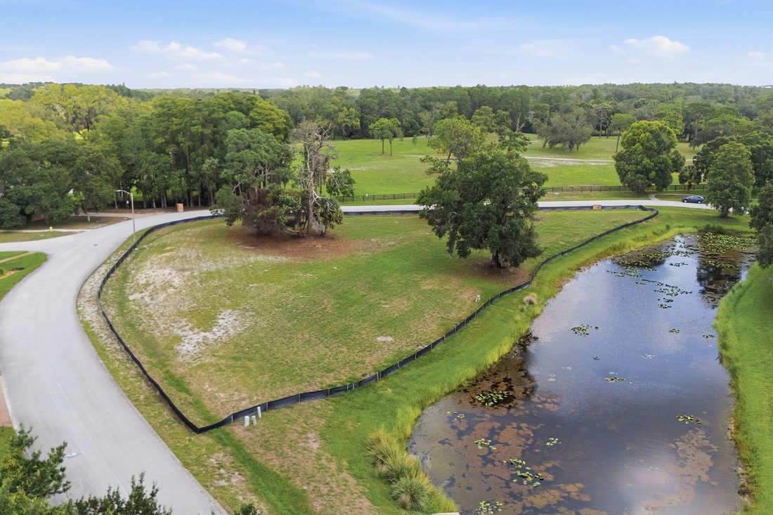 Land in Tarpon Springs, Florida, United States 3 - 18516643