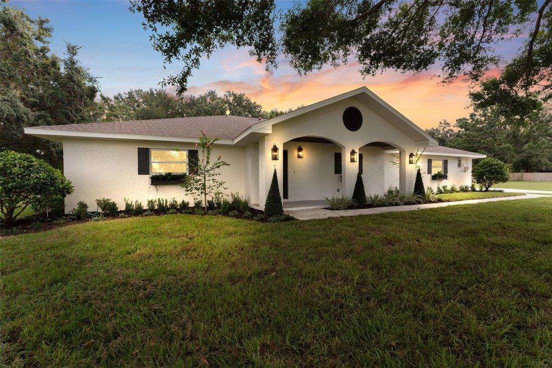 House in Odessa, Florida, United States 1 - 18508308