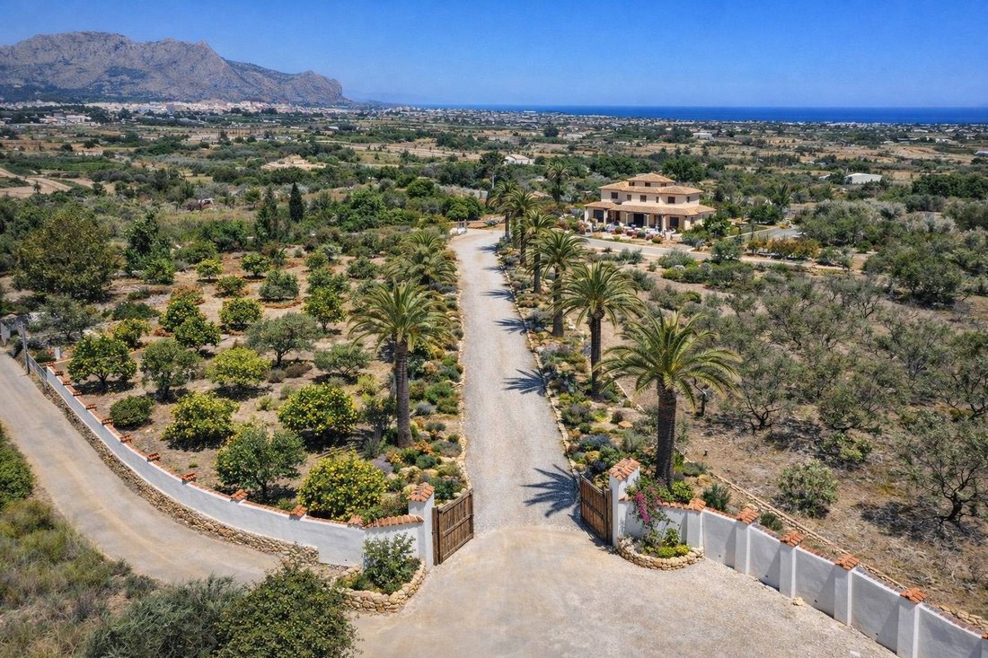 Villa in Pedreguer, Valencian Community, Spain 3 - 18518805