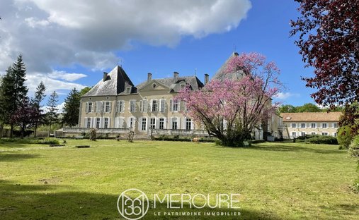 Estate in Niort, Nouvelle-Aquitaine, France 1