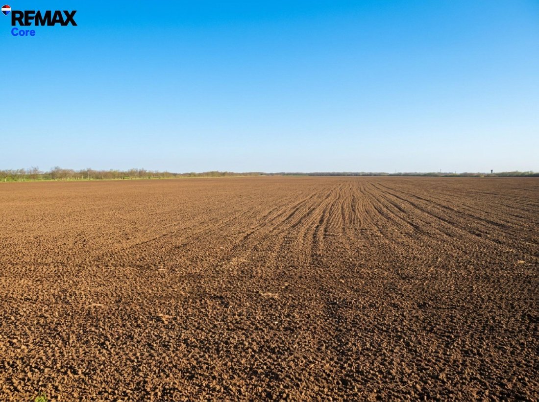 Land in Merida, Extremadura, Spain 2 - 17896905