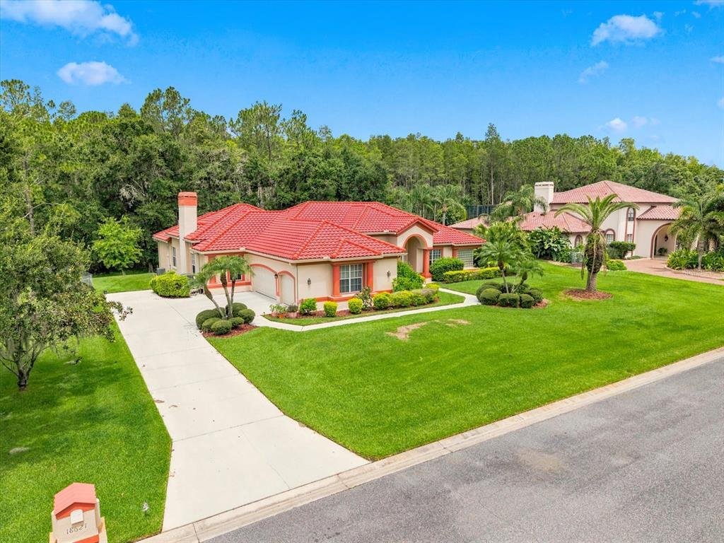 House in Land O' Lakes, Florida, United States 4 - 18516709