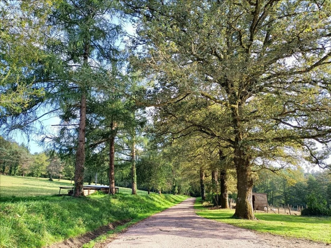 Estate in Busserolles, Nouvelle-Aquitaine, France 4 - 18516070